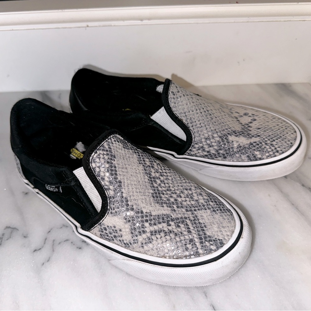 Vans Asher DX